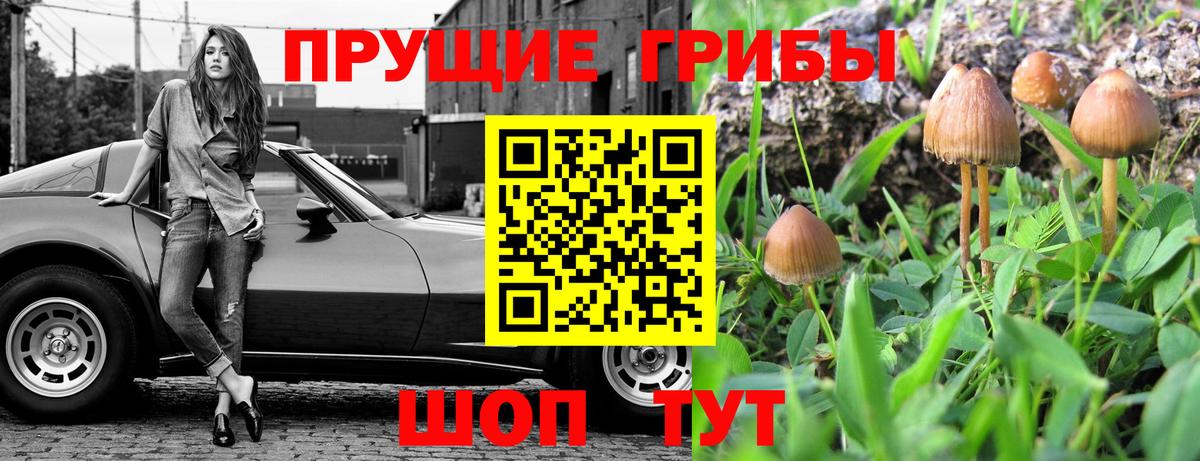 Псилоцибиновые грибы Psilocybine cubensis  Вход с VPN  Волоколамск 